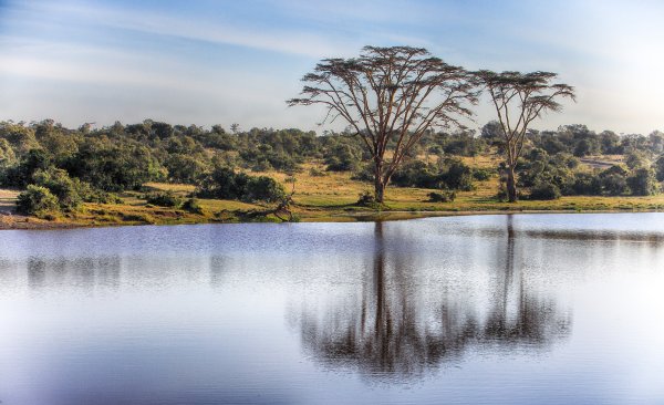 Мали Саванна