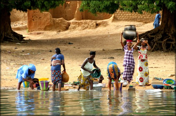 Рыбы реки нигер