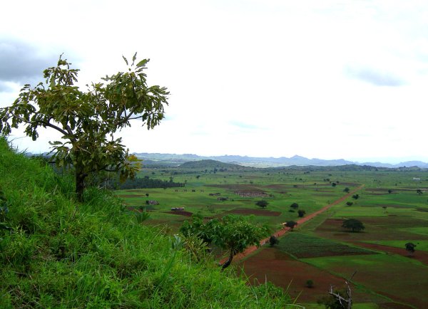 Мечеть Ниамей