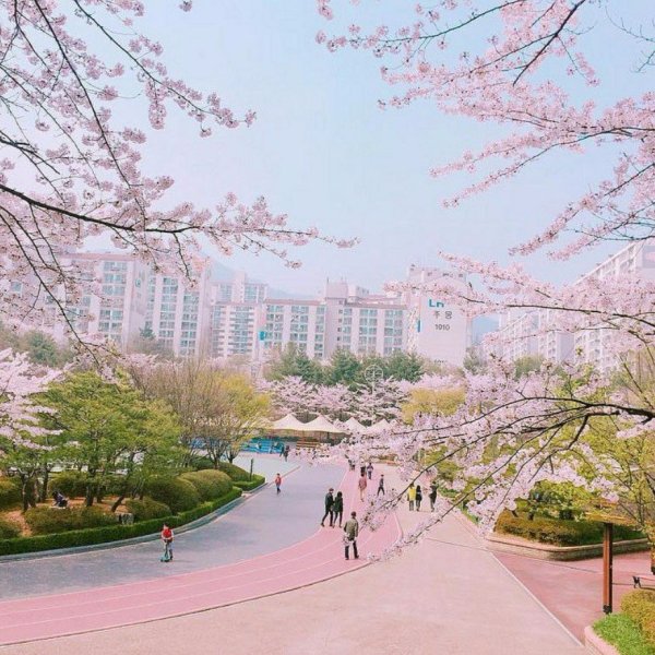 Южная Корея Кёнджу зима