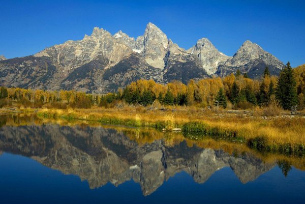 Гранд Тетон национальный парк