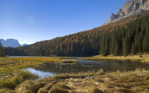 Дикая природа озеро