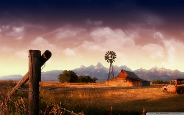 Горный Алтай Тайга Эстетика