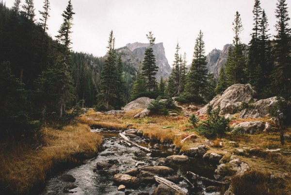 Художник Даррел Буш (Darrell Bush)