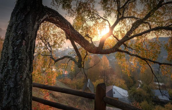 Плес Золотая осень Соборная гора