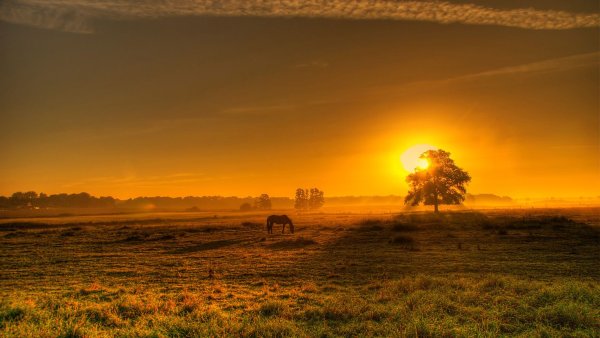 Рассвет в долине