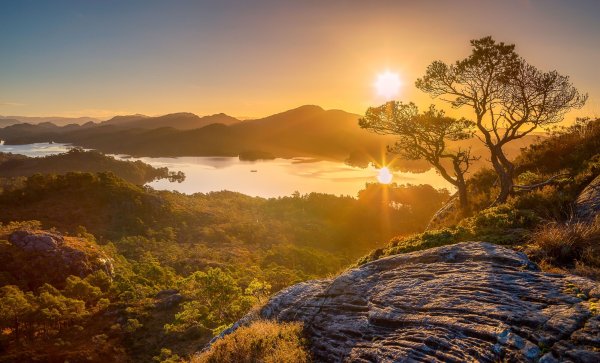 Розовый рассвет