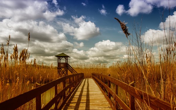 Перспектива природа