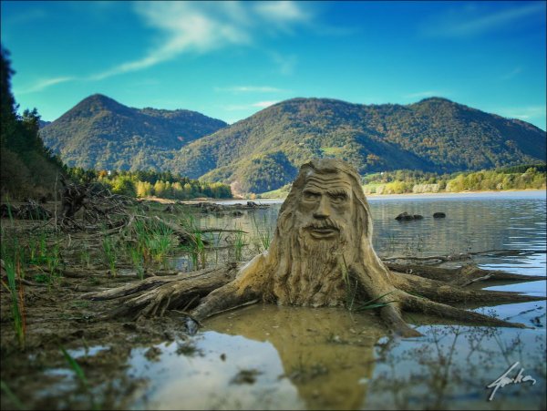 Прикол природа