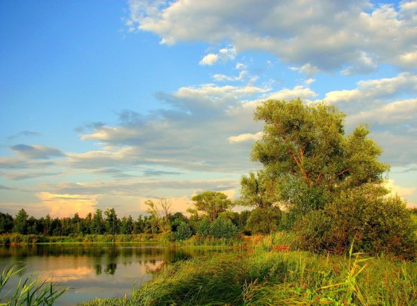 Август природа Россия