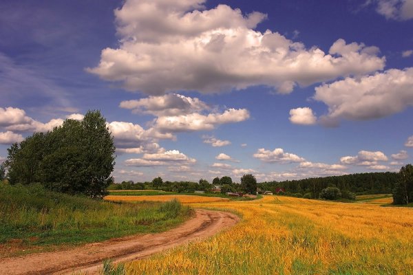 Август пейзаж