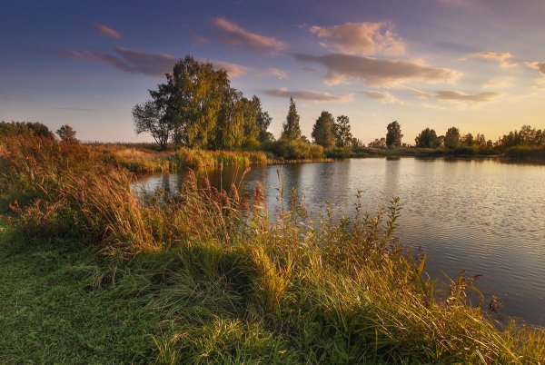 Природа Удмуртии август