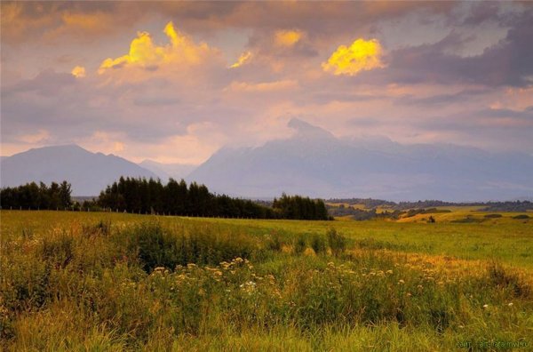 Август природа