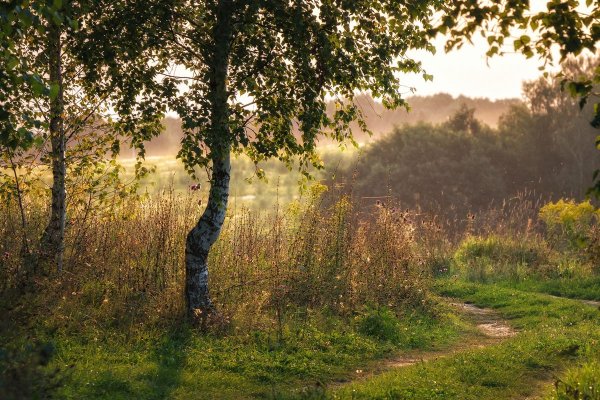 Конец августа природа