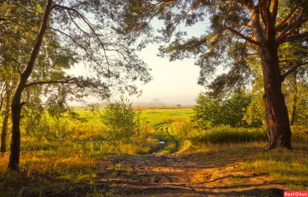 Август пейзаж фото