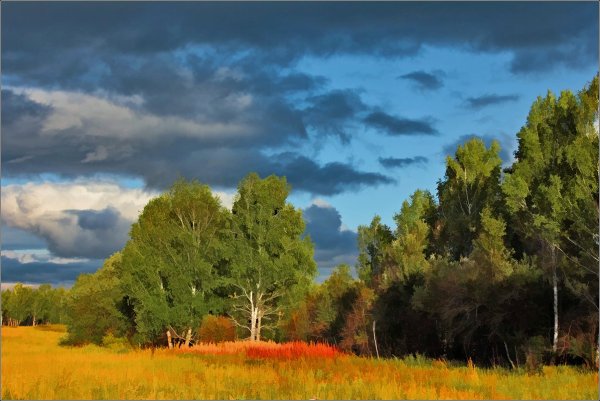 Августовский пейзаж