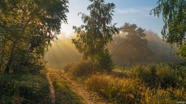 Августовский пейзаж