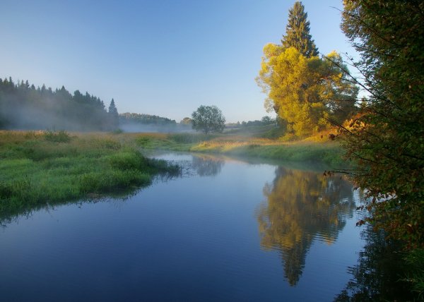 Природа Сибири летом