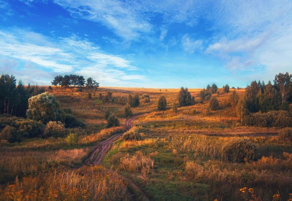 Август Августейший пейзаж