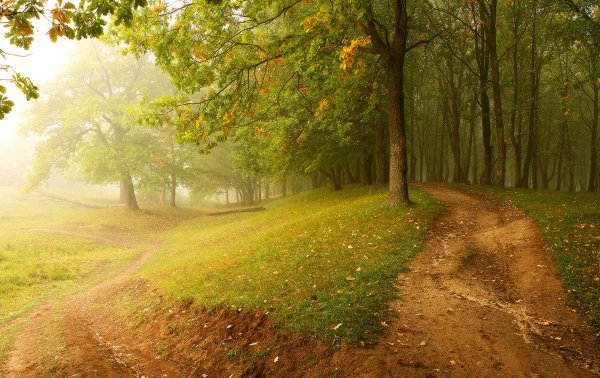 Конец августа природа