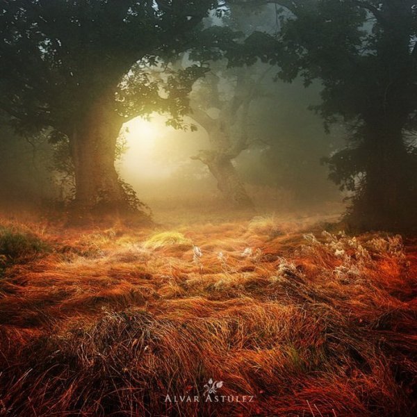 Таинственная природа