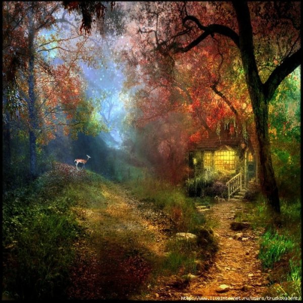 Stroody Bob цифровой художник