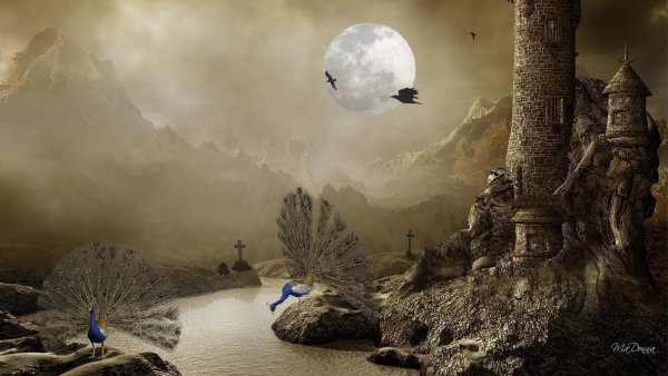 Таинственные пейзажи