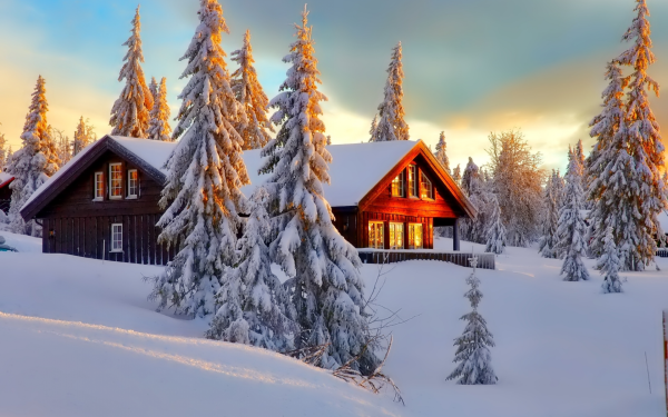 Красивая зима