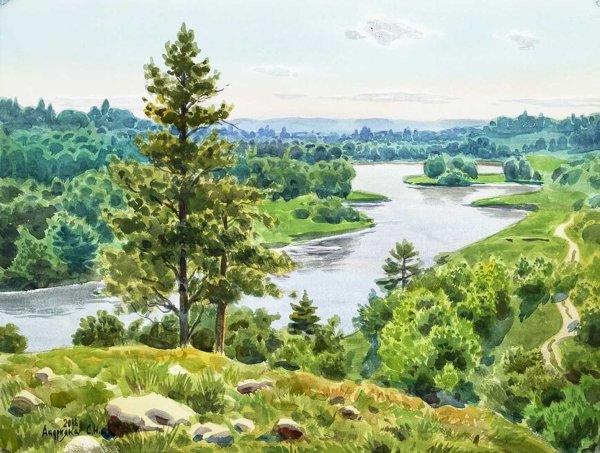 Сергей Андрияка туманный лес