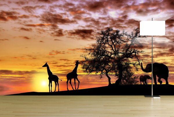 Африка Саванна дикий мир животных