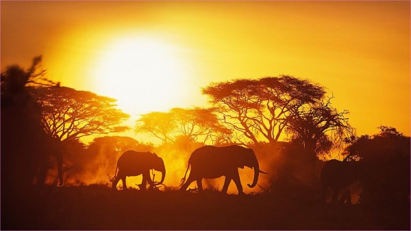 Закат в Африке