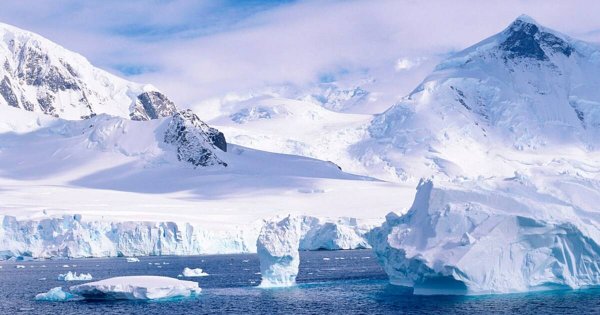 Северный полюс Арктика Антарктику