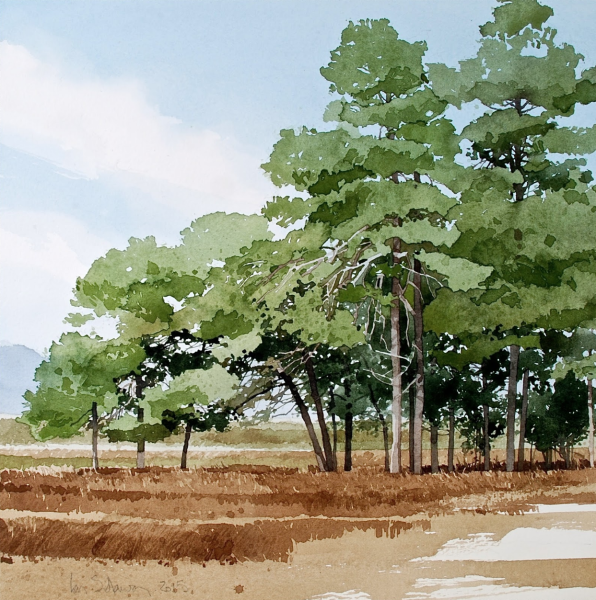 Акварель «деревья в Санлисе» Пруста