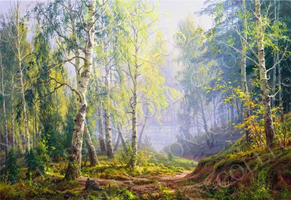 Сергей Басов Березовая роща