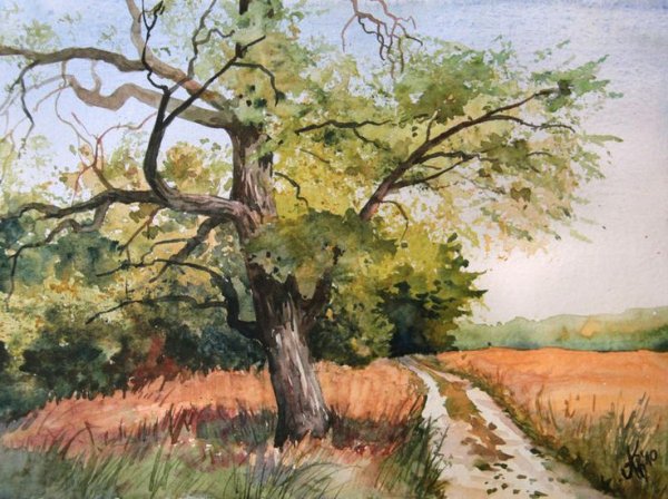 Пейзаж с деревом гуашью