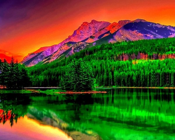 Яркая природа