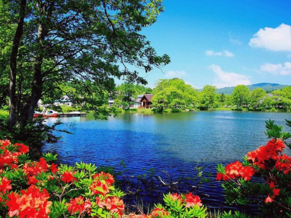 Природа летом