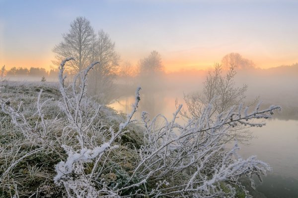 Иней в пейзаже