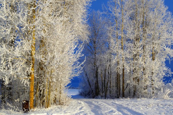 Зимние обои