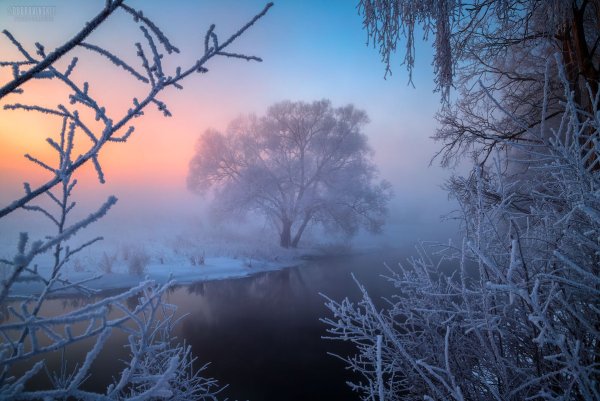 Зима река туман