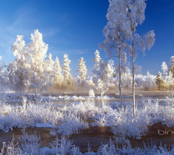Зимние пейзажи на рабочий стол