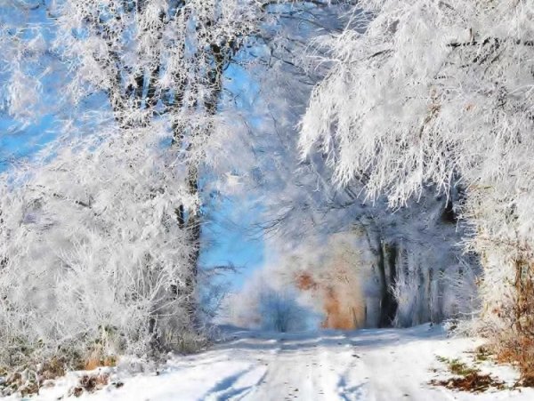 Снежная красота зимы