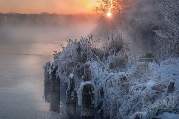 Туман зимой