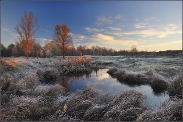 Первые заморозки в природе