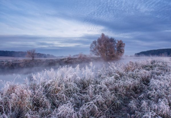 Заморозки природа