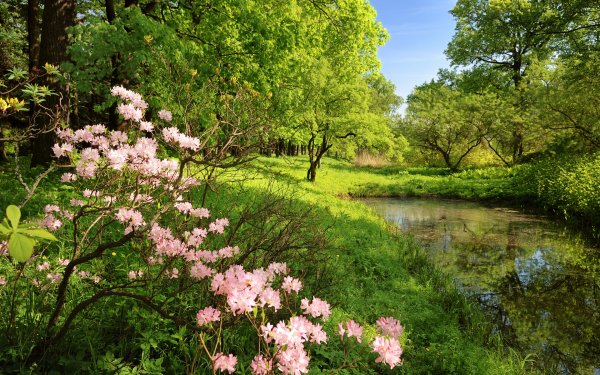 Красивые картинки