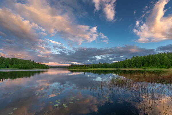 Озеро Шлино Тверская