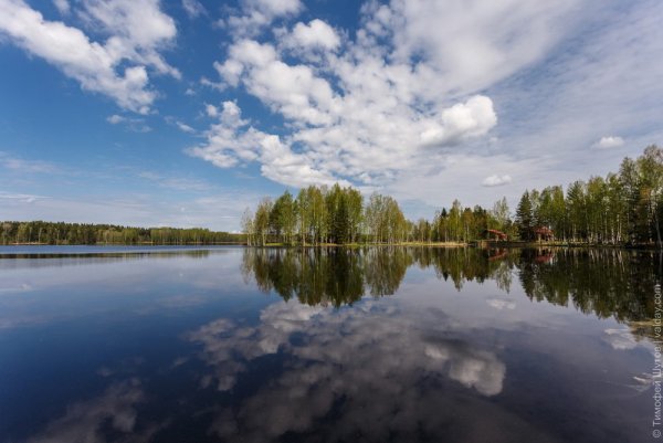 Озеро Селигер природа