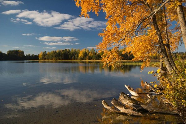 Валдайский национальный парк озеро Велье