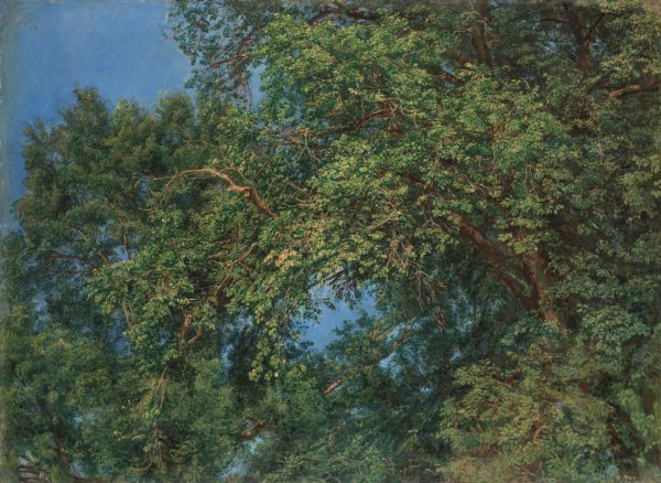 Иванов ветка Этюд